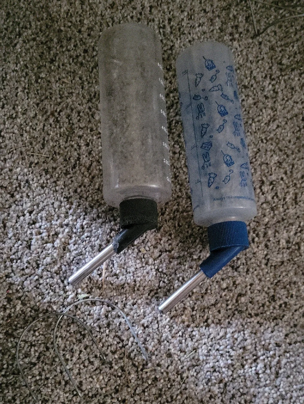Clear Plastic Pet Water Bottles with Metal Spouts - Clear & Light Blue